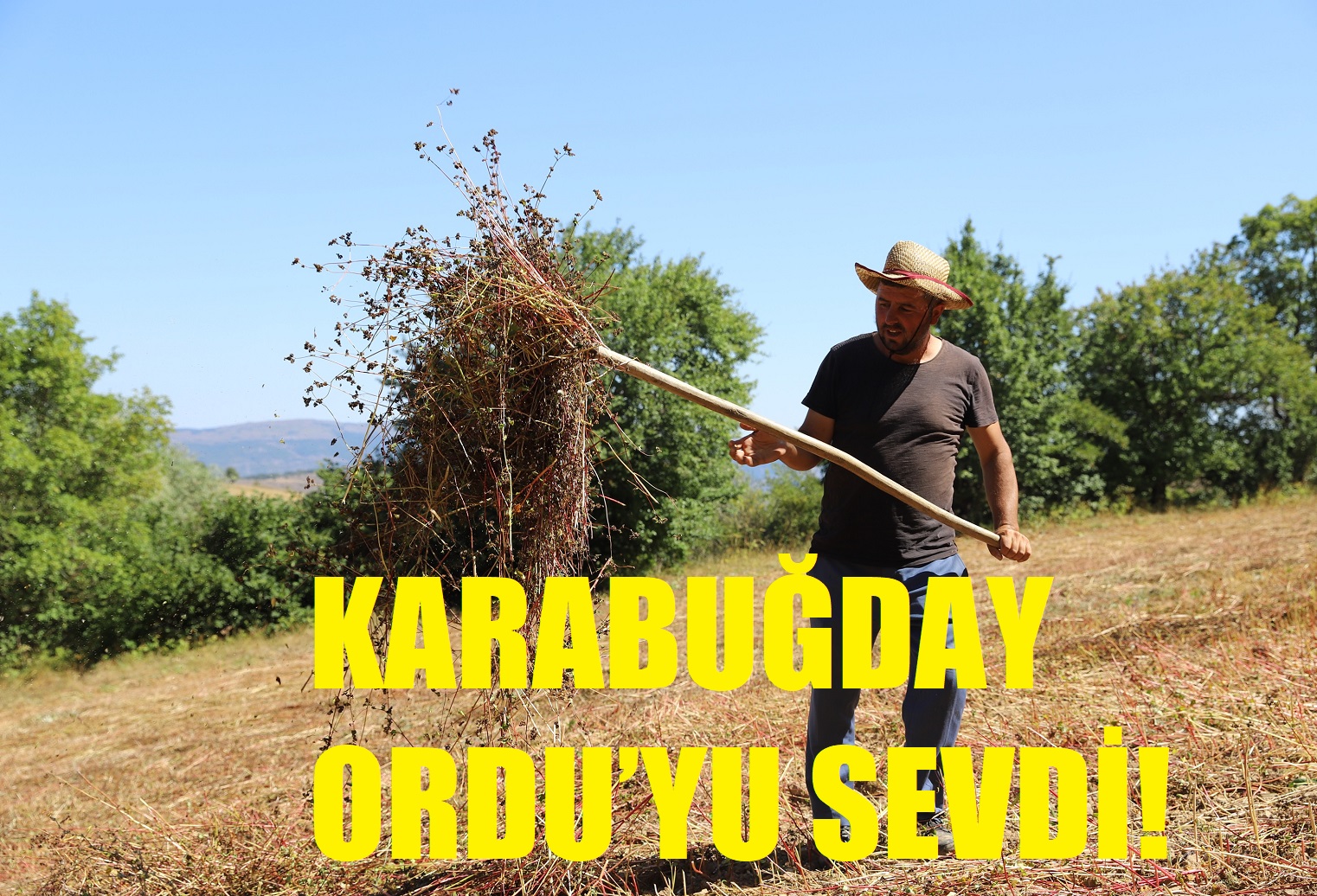 KARABUĞDAY ORDU’YU SEVDİ!