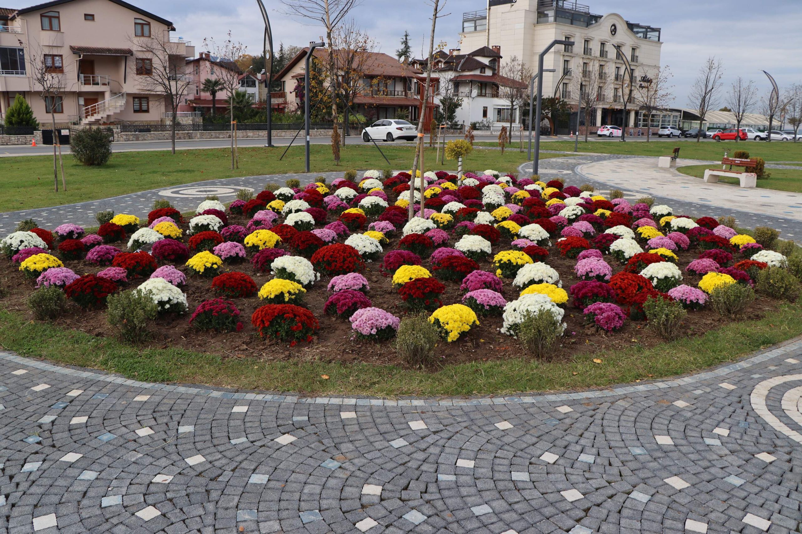 ORDU, KIŞ ÇİÇEKLERİ İLE SÜSLENİYOR